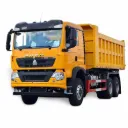 HOWO TX 12 roues 8x4 Camion benne Sinotruck Tipper LHD Camion lourd